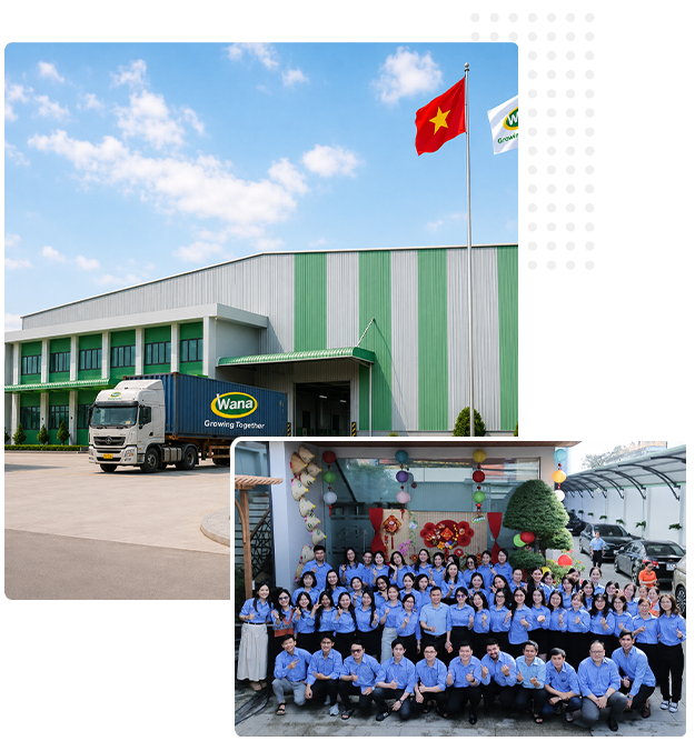 Asia F&B - Global Export Partner