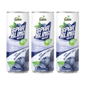 Solavie Sparkling Water - Blueberry