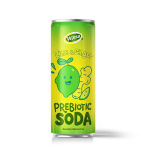 wana-prebiotic-soda-lime-and-ginger