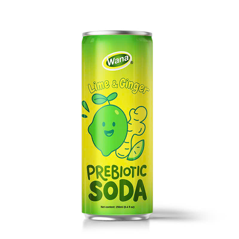 Prebiotic Soda Lime Ginger – 250ML Aluminum Can