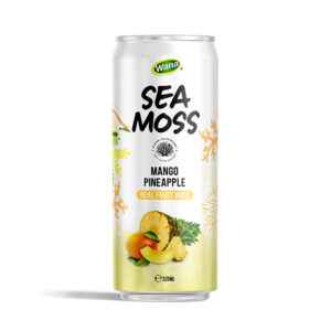 wana-sea-moss-mango-pineapple